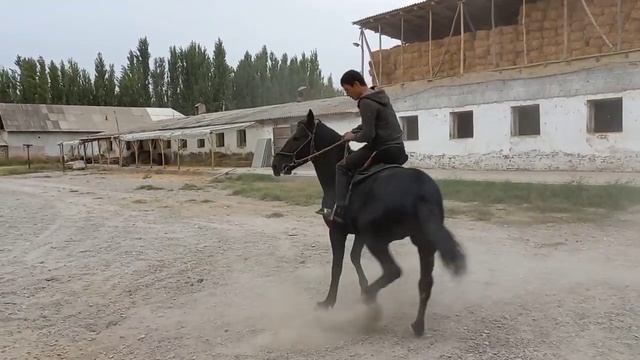 от сотилади .+998-94-213-07-70 смотреть онлайн