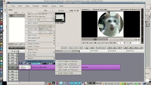 [Linux] Знакомство с видеоредактором Flowblade - лучшая альтернатива OpenShot (2017) смотреть онлайн