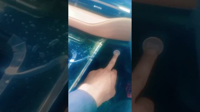 Haval H6 2.0 full overview and its features #Haval-experience #3sautomotive , #3s-dealership #haval смотреть онлайн