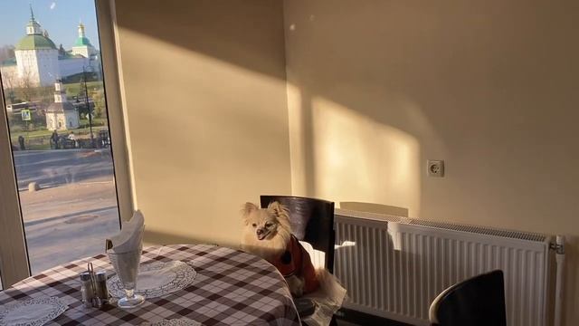 Сергиев Посад и Св. Троице - Сергиева Лавра осенью и весной. Май, 2023г смотреть онлайн