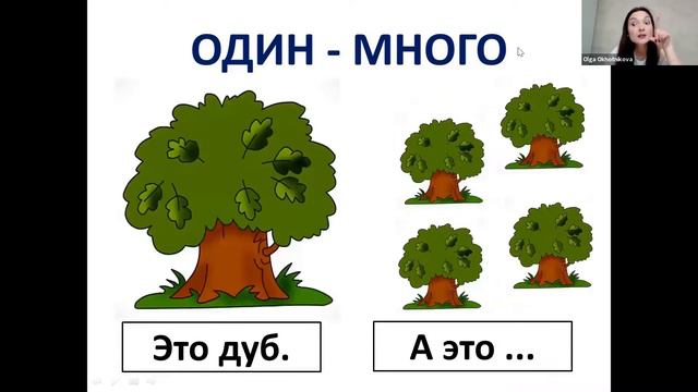 РКИ для детей / Russian as a foreign language for kids. Множественное число. Окончания Ы и И. смотреть онлайн