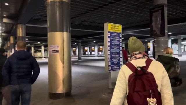 Из Москвы в Вильнюс через Минск смотреть онлайн