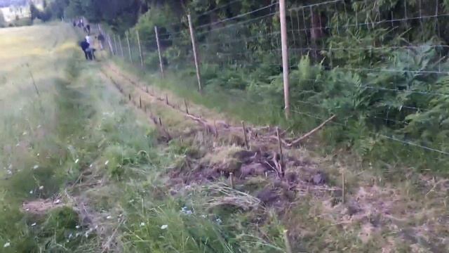 S4 ● E72 Pastured Poultry And Salix Planting