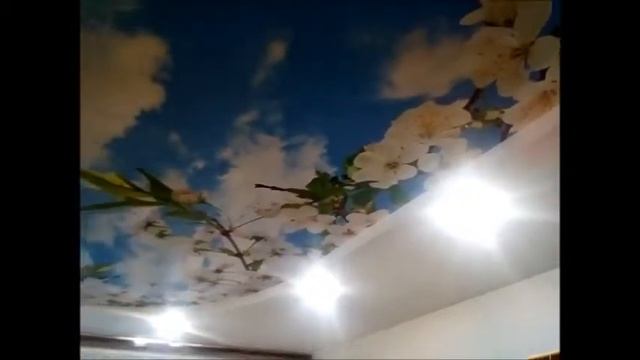 Двухуровневый натяжной потолок с фотопечатью цветы смотреть онлайн