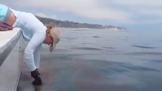 Keep The Boat Afloat Intro смотреть онлайн