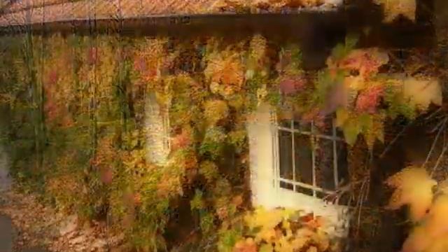 Autumn Dreams смотреть онлайн