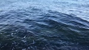 С Иисусом, Пропитка 100%, Иисус ТЫ Здесь