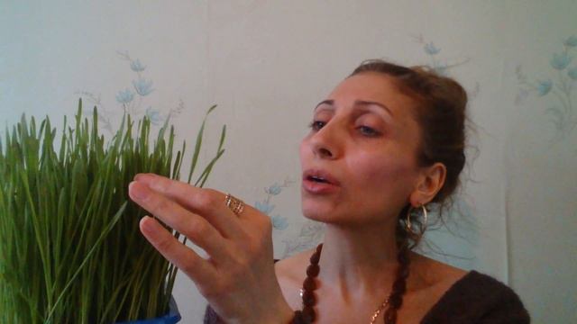 Строительные Рецепты