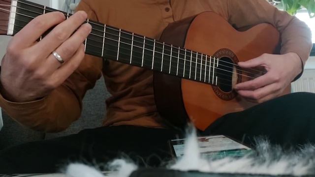 Rapture / Jesse Cook