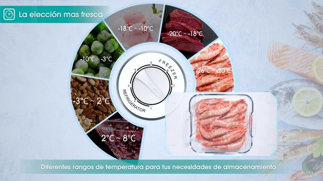 Congeladores De Hisense | Máxima Calidad Y Tecnología