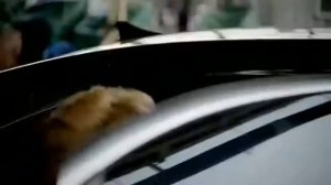 Mening Dostim Eslamaydi dima har dam yodimdasan  jon dostimsan tanamdagi jonimdasan #meningdostim