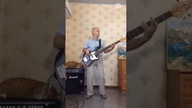 Алексей Глызин - То ли воля, то ли не воля (Bass cover) смотреть онлайн