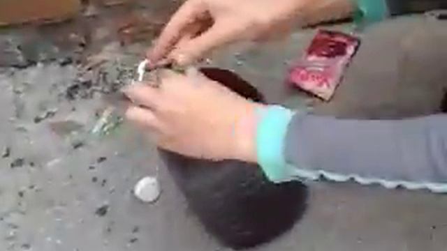 3 литра воды и 2 пачки Upi смотреть онлайн