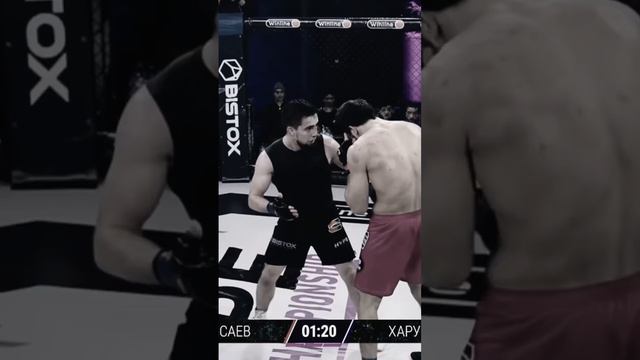 Харун Бозиев не стал добивать Марата Исаева #popmma #бой #mma #мма #бокс #кулачка смотреть онлайн