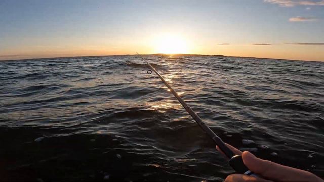 Havørredfiskeri i Roskilde Fjord | Ny PR 64 cm Havørred смотреть онлайн