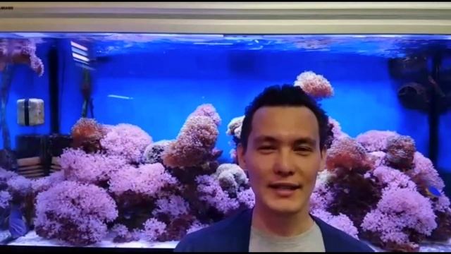 Видео-сюрприз для любимого мужа на День Рождения!??? смотреть онлайн