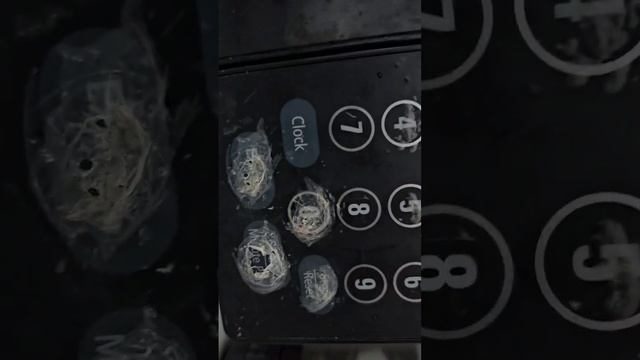 thought I had a gross screwed up/ cheap microwave смотреть онлайн