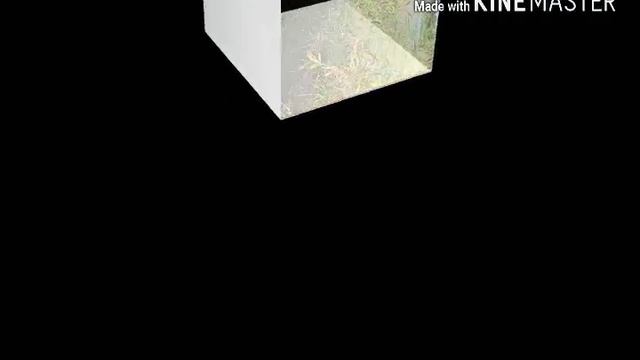 Как весело на даче! смотреть онлайн