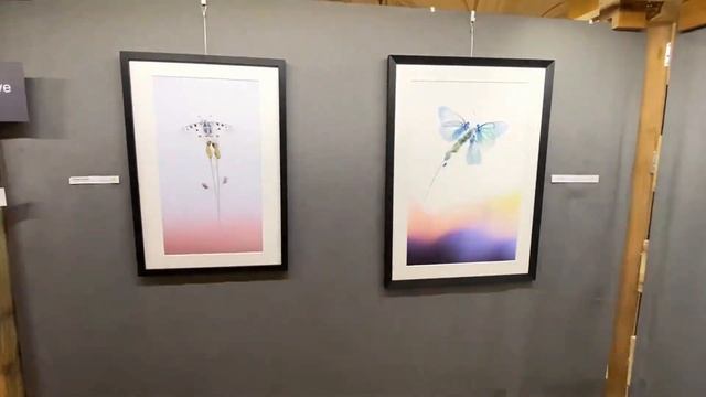 Mon Exposition Photo au prestigieux hôtel Majestic de Chamonix смотреть онлайн