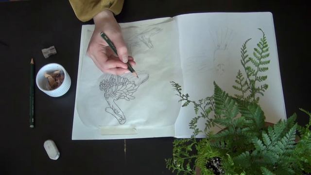 Using Tracing Paper смотреть онлайн