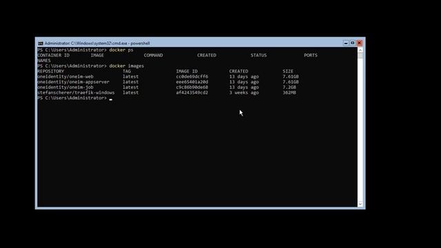 One Identity Manager | Containerization #7 | Application Server in a Docker Container смотреть онлайн