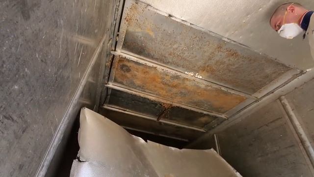 NewEnglandWildlife&More and post10 Bloopers смотреть онлайн