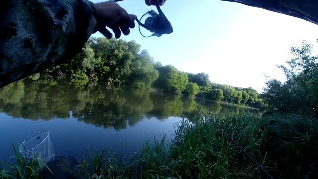 Огромные караси и голавли не меньше! смотреть онлайн