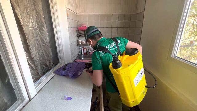 Дезинфекция от тараканов обработка от тараканов уничтожение тараканов в квартире ресторанах кафе смотреть онлайн