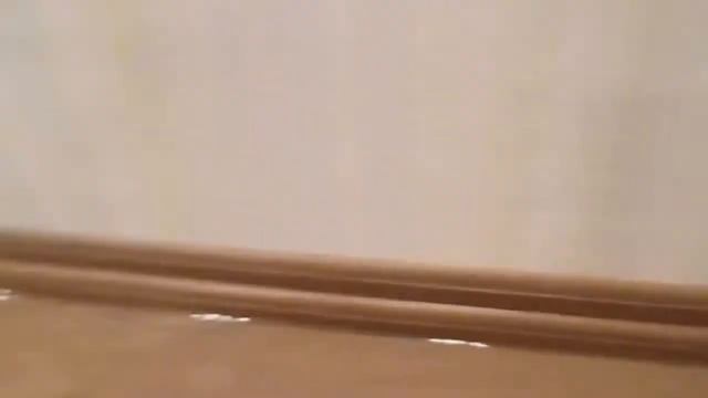 Выливаем ведро воды на клеевой пробковый пол Wicanders смотреть онлайн
