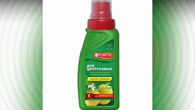 Лимонное дерево смотреть онлайн