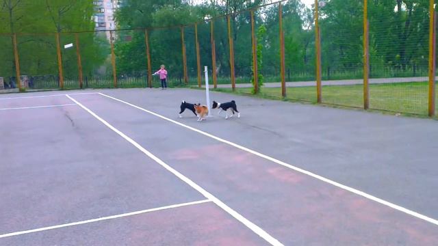 Ituri, Ibongo & Isiro смотреть онлайн