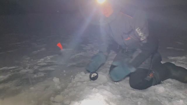 ЩУКА на 11КГ! СКОЛЬКО ЖЕ ТУТ РЫБЫ?!! Снова ТРОФЕЙНАЯ РЫБАЛКА смотреть онлайн