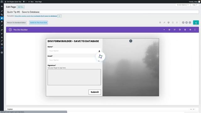 How to Save Divi Form Submissions to the WordPress Database смотреть онлайн