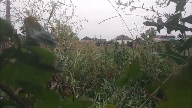 Космоцентризм философии Античности смотреть онлайн