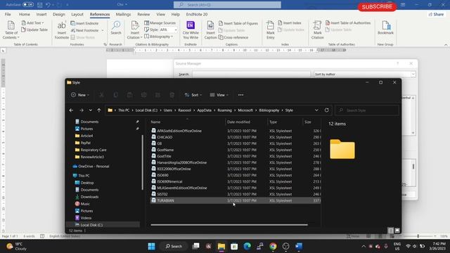 How to add APA 7th reference style to MS Word? смотреть онлайн