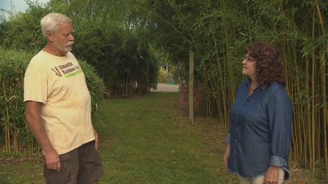 Bamboo: Attributes and Containment | Volunteer Gardener смотреть онлайн