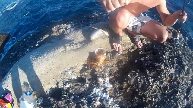 Скарпена на удочку Крым/ Чрное море/ Меганом 2016 смотреть онлайн