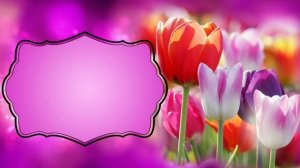 Футаж. Фон для надписи 57