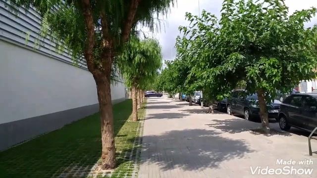 Морепродукты в Испании.Супермаркет Меркадона.Отдел кисломолочных продуктов. смотреть онлайн