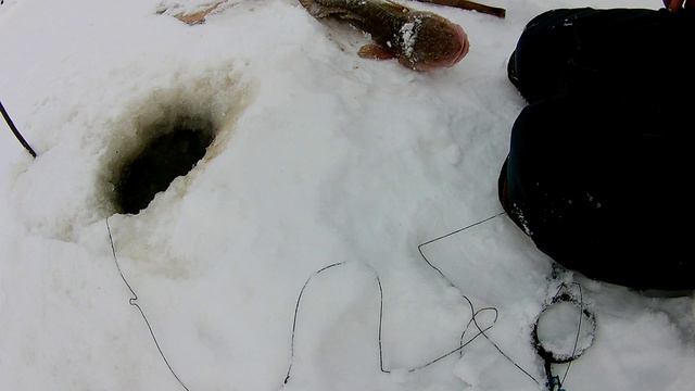 Проверка удочек. 6 день. Телефон зло))) смотреть онлайн