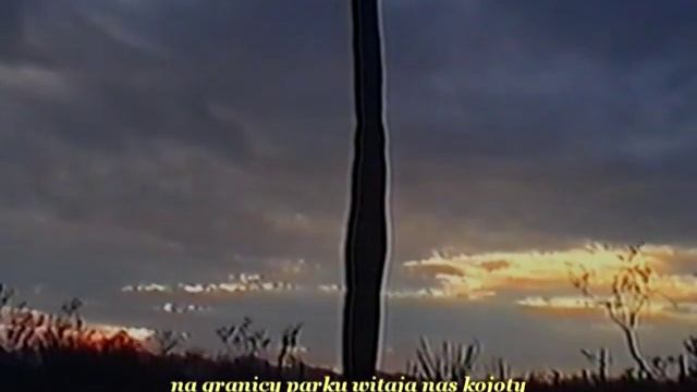 PN USA biale piaski i kaktusy смотреть онлайн