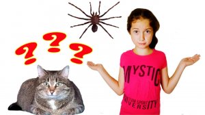 Ищем нашу кошку