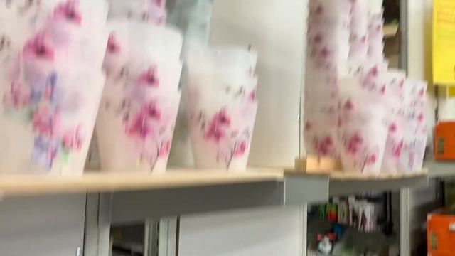 Кастарама? что есть - то есть ? обзор орхидей 11.07.22? Щербинка Восточная,8 смотреть онлайн