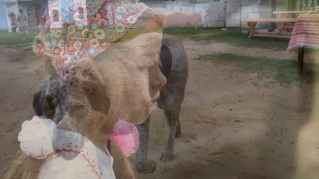 Троица. Дети. смотреть онлайн