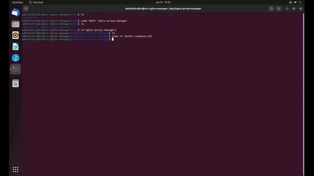 Instalación de Nginx proxy manager en ubuntu con docker смотреть онлайн