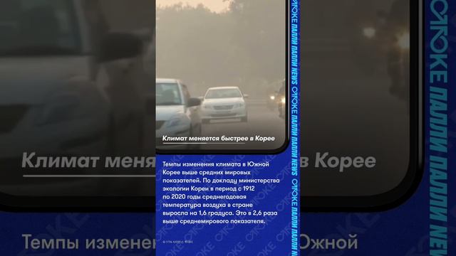 Климат меняется быстрее в Корее смотреть онлайн