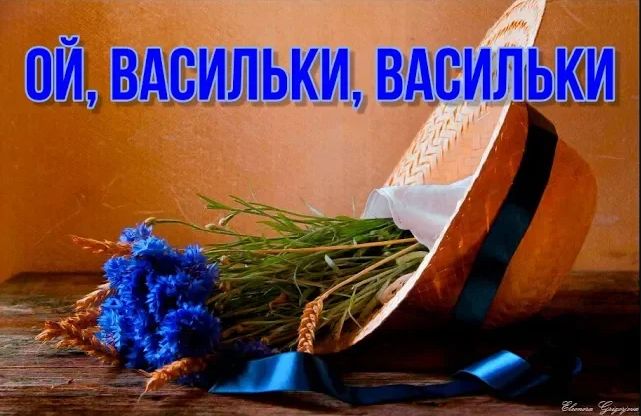 Ой- васильки- васильки.mp4