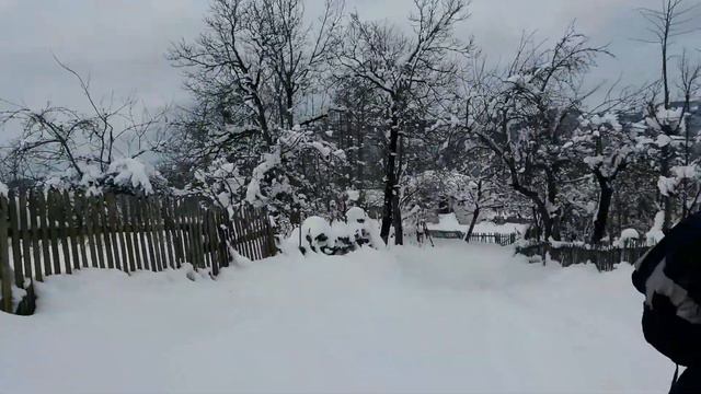 Заснеженная дорога в деревне Милиси в горах Аджарии, Грузия, 11.01.2015 смотреть онлайн