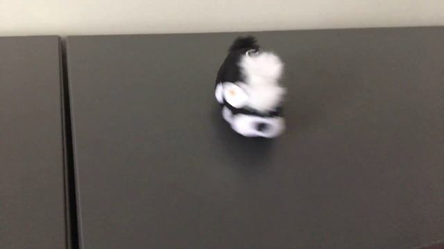 Zhu Zhu Wild-Bunch Review On Prototype Stinker #1 смотреть онлайн