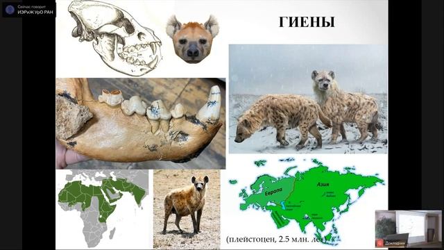 NAUKA 0+ Лекция Д.О. Гимранова 